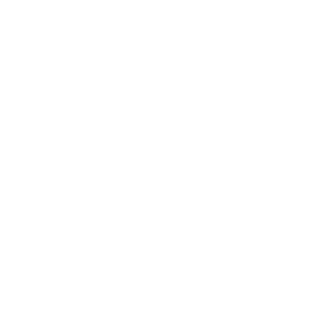 FEC Logo