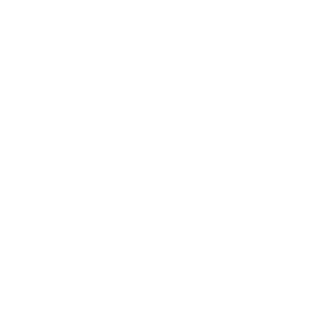 FEC Logo