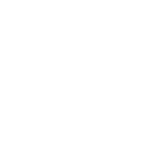 FEC Logo